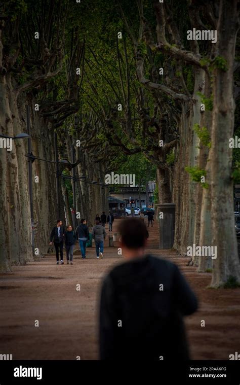 View of park in Lyon Stock Photo - Alamy