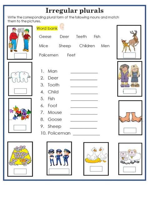 Regular And Irregular Plural Nouns Worksheet