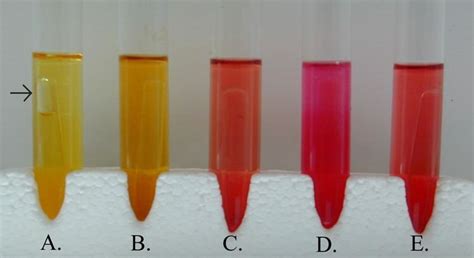 Phenol red - Alchetron, The Free Social Encyclopedia