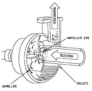 Centrifugal Water Pumps | Centrifugal Pumps | Water Pumps | Arroyo