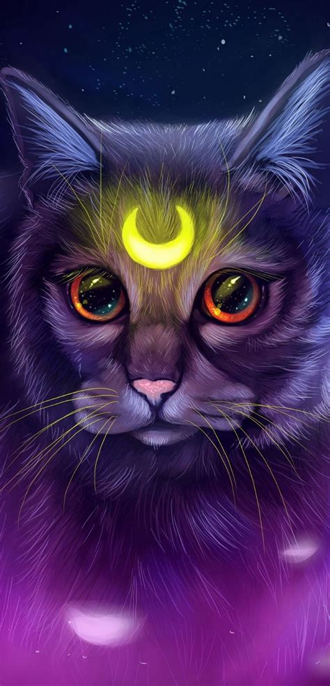 Cat In Galaxy Wallpaper