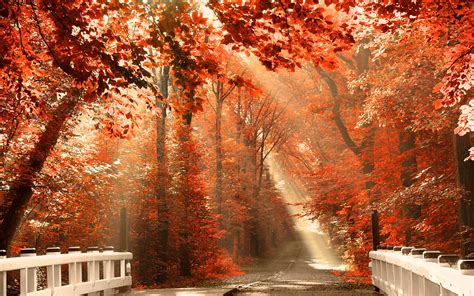 Fall Scenery Wallpaper Desktop - WallpaperSafari