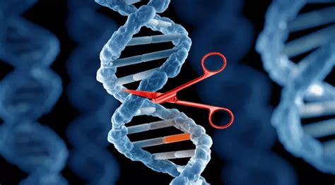 Improved CRISPR gene drive solves problems of old tech - Biotech Today