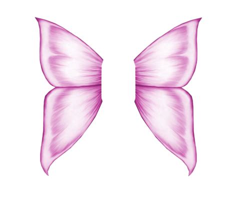 Realistic Fairy Wings Png Png Image Collection