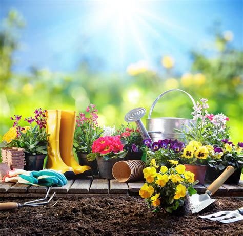 7 Benefits Of Gardening That Prove It Helps Your Mind And Body Kells