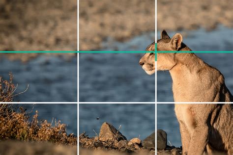 What Is The Rule Of Thirds In Photography 10 Graphic Examples