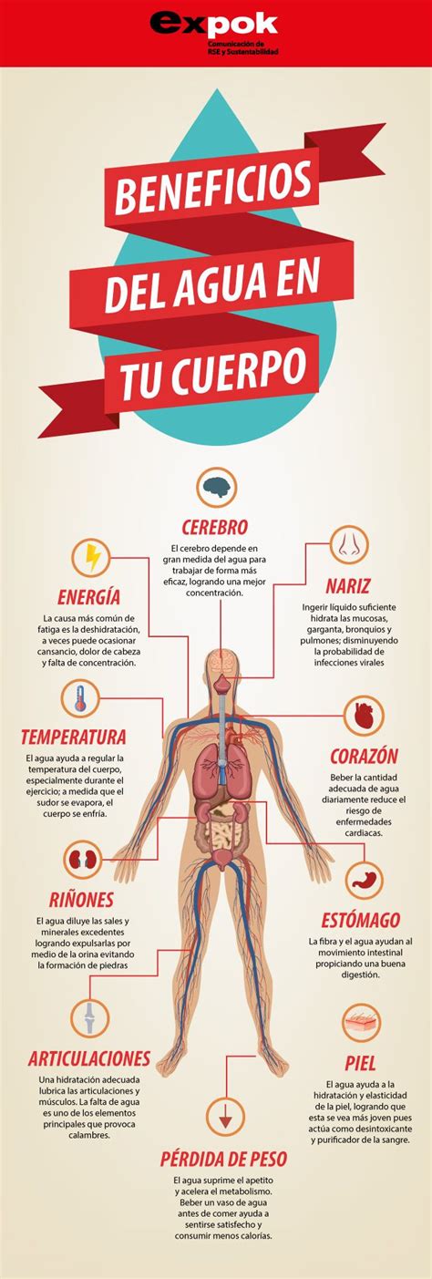 Infografía 10 Beneficios Del Agua En Tu Cuerpo 1 Beneficios De