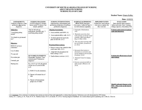 Nursing Care Plan For Fall