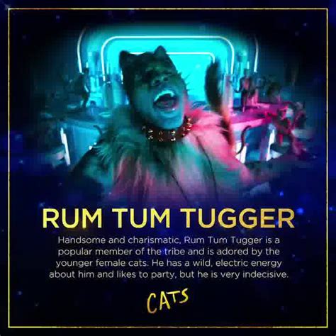 The cats musical is based on t.s. Rum Tum Tugger - 2019 Movie | 'Cats' Musical Wiki | Fandom