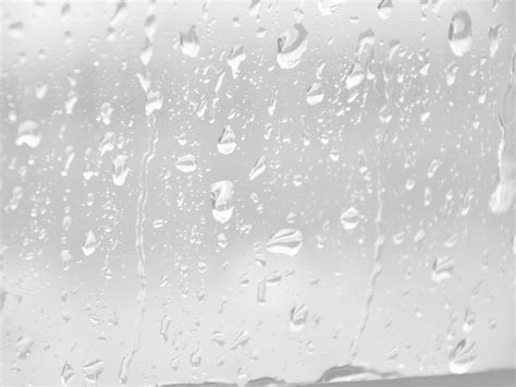 Collection Of Rain Png Pluspng