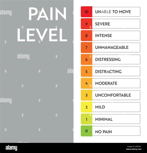 Pain Level Meter Indicator Stress Speedometer Medical Chart Design