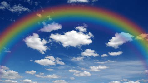 14 Zoom Virtual Background Rainbow Info