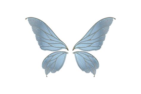 Fairy Wings Png Photos Png Mart