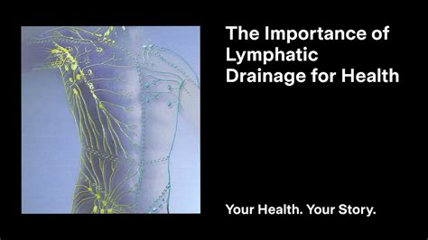 The Importance Of Lymphatic Drainage For Health Youtube