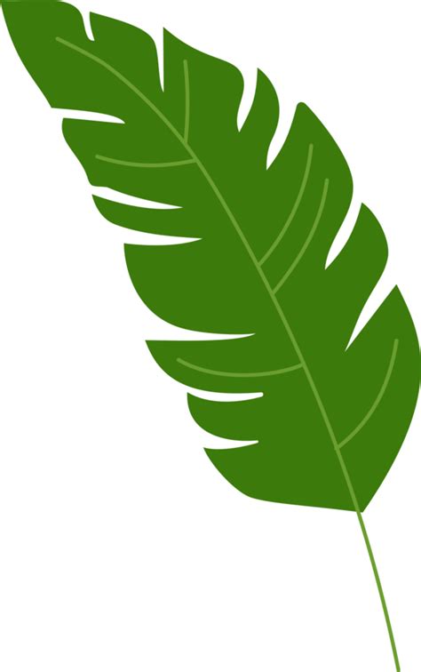 ilustración de hoja tropical de plátano elemento de diseño de planta