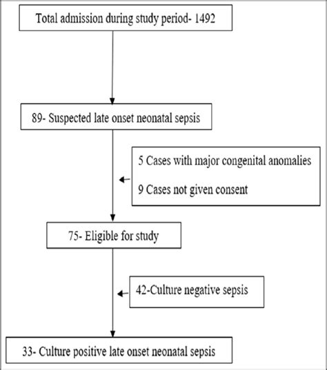 Sepsis Pathophysiology Diagram