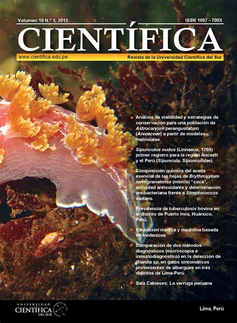 Revista CientÍfica Vol 10 N° 3 By Universidad Científica Del Sur Issuu