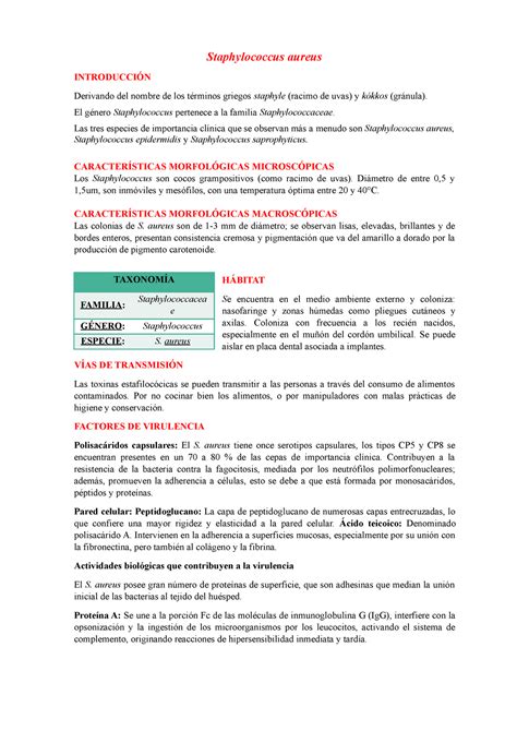 Resumen Sobre La Bacteria Staphylococcus Aureus Staphylococcus Aureus