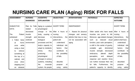 SOLUTION Nursing Care Plan Risk For Falls Aging Studypool