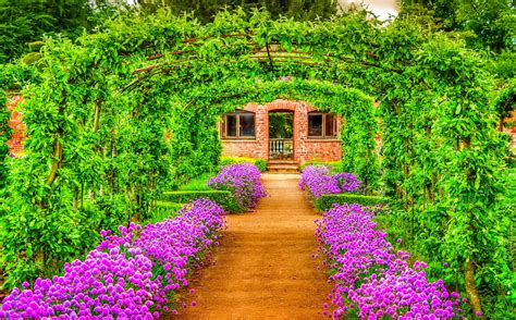 Vibrant Spring Garden Hd Wallpaper A Pathway Of Greenery And Purple Blooms