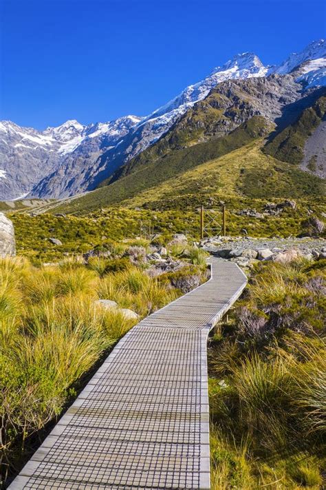 Mount Tasman Valleys Aoraki Mt Cook National Park Southern Alp Stock