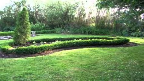 See more ideas about dwarf english boxwood, english boxwood, plants. Dwarf English Boxwood For Sale - YouTube