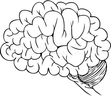 20 Easy Brain Drawing Ideas How To Draw A Brain Blitsy