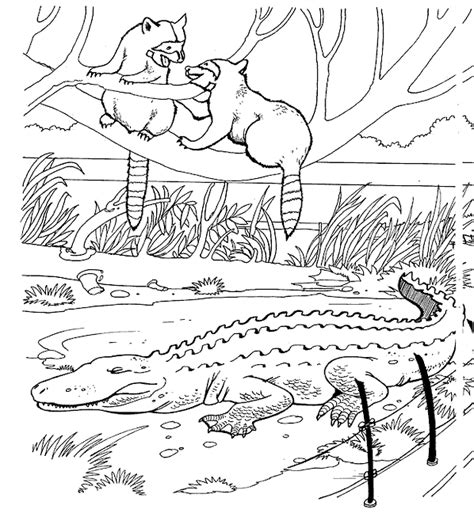 Coloriage Le Zoo Gratuit 11705 Animaux