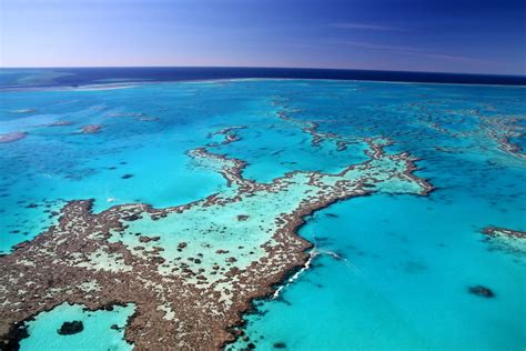 Australia rejects warning on climate risk to great barrier reef. Snapshot Monday ~ Great Barrier Reef - Marie Hernandez ...