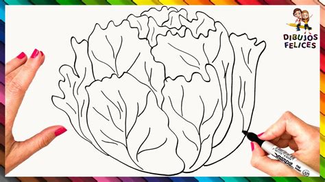 Cómo Dibujar Una Lechuga Paso A Paso 🥬🥗 Dibujo De Lechuga Youtube