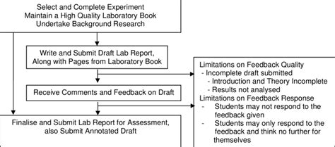 Flow Diagram Of The Laboratory Report Writing Process Download