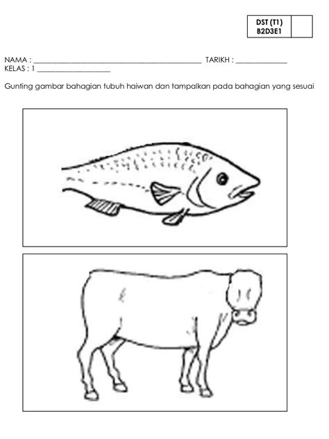 Lembaran Kerja Haiwan Di Air Prasekolah Haiwan Manakah Yang Tinggal