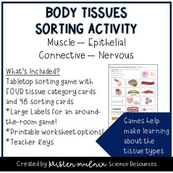 Human Body 4 Tissue Types Sorting Activity By Kristen Mulnix TPT