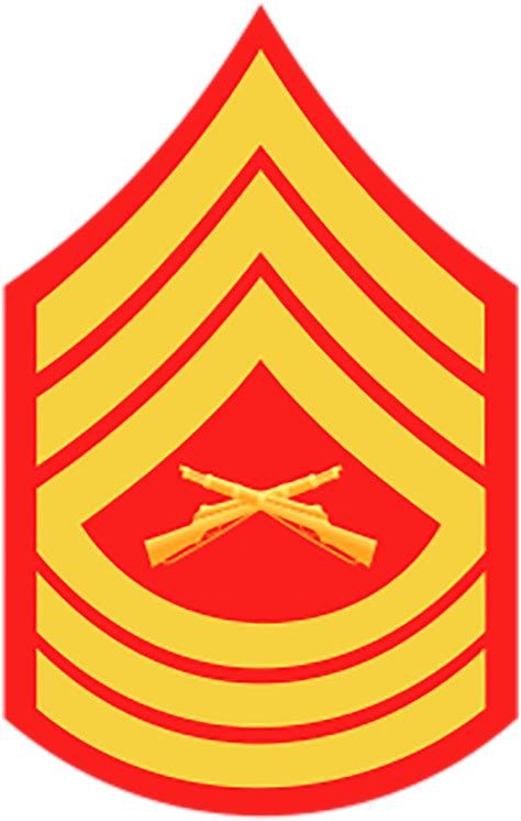 Us Military Rank Insignia