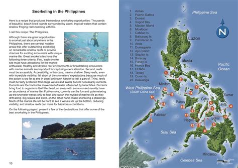 Snorkelers Guide To Marine Life Of The Philippines