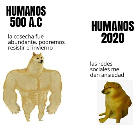 Doge Y Cheems El Meme De Perros Que La Está Llevando En Redes En 2020