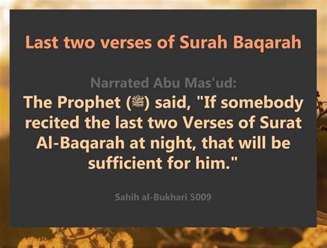 Recite The Last Two Verses Of Surah Baqarah Before You Go To Sleep R