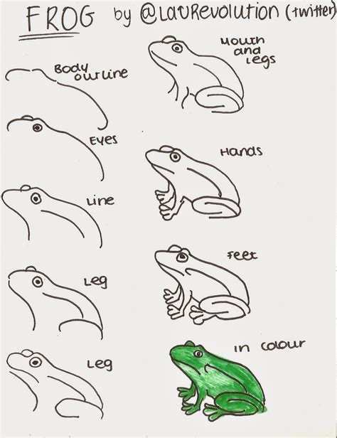 How to draw a poison dart frog, easy, step by step demo for kids. Art Is The Last Form Of Magic