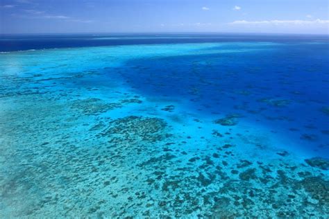 The great barrier reef foundation extends its deepest respect and recognition to all traditional owners of the great barrier reef as first nations peoples holding the hopes, dreams, traditions and cultures of the. Great Barrier Reef, Australia - Map, Facts, Location, Tours