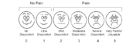 The Wong Baker Faces Pain Scale Adopted For Comfort Rating Modified