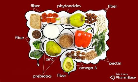 What Foods Are Best For Gut Health Foods That You Must Consume To