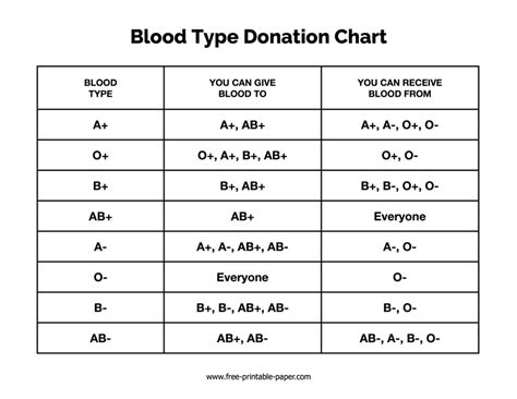 Blood Type Donation Chart Free Printable Paper