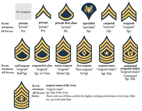 Army Enlisted Ranks In Order Reyndesigns