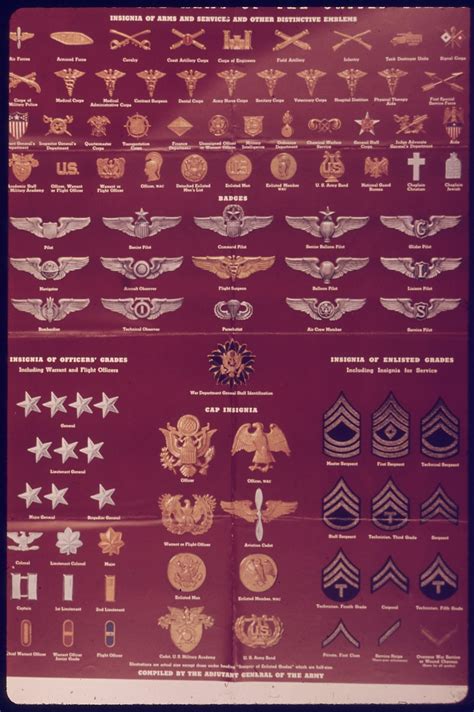 United States Army Enlisted Rank Insignia Of World War Ii Wikipedia