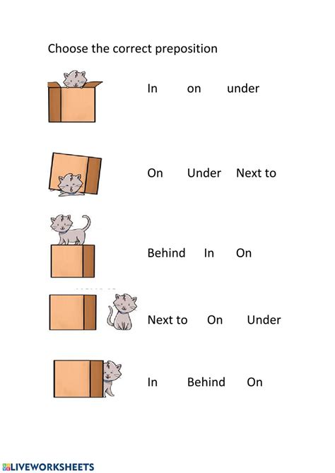 Prepositions Of Place Online Pdf Worksheet