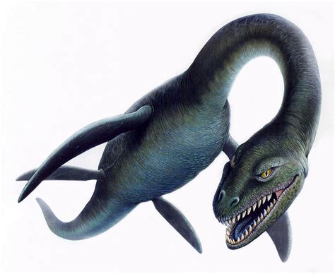 Loch Ness Monster Png Transparent Loch Ness Monsterpng Images Pluspng