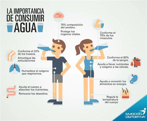 Importancia De Consumir Agua Salud Nutrientes Musculos