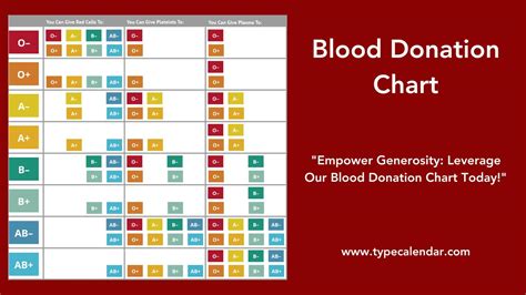 Free Printable Blood Donation Charts Types Explained A B AB And O