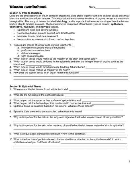 Tissue Worksheet Chapter 5 Answer Key Anatomy Worksheets