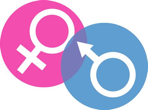 Transparent Gender Clip Art Gender And Development Png Full Size